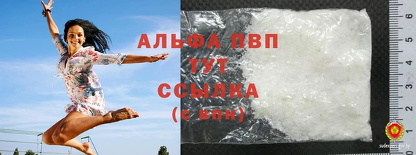 шишки Новозыбков