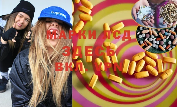 шишки Новозыбков