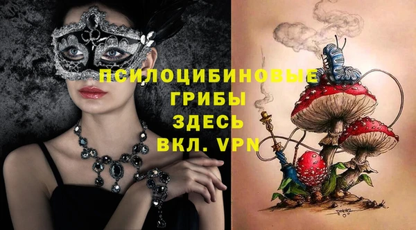 молекула духа Абинск