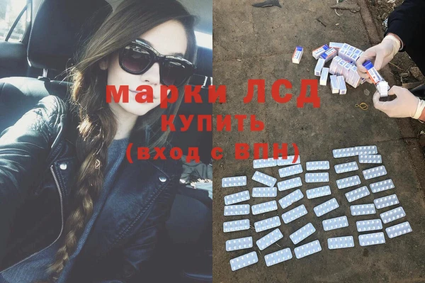 амф Алексин